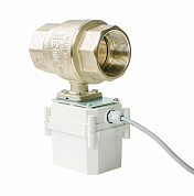 Шаровый электропривод (ШЭП) PROFESSIONAL 12V ENOLGAS 2” GIDROLOCK